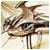 Dennisgot logo